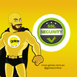 Gotax Online's Income Tax Return is fully secured with the highest AES Security standard. 